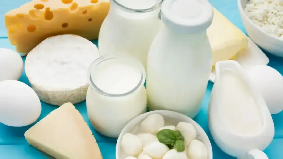 O que comer para voltar a cartilagem do joelho